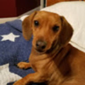 Meet your Posher, Misty